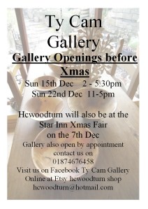 Ty Cam Gallery Christmas 2013